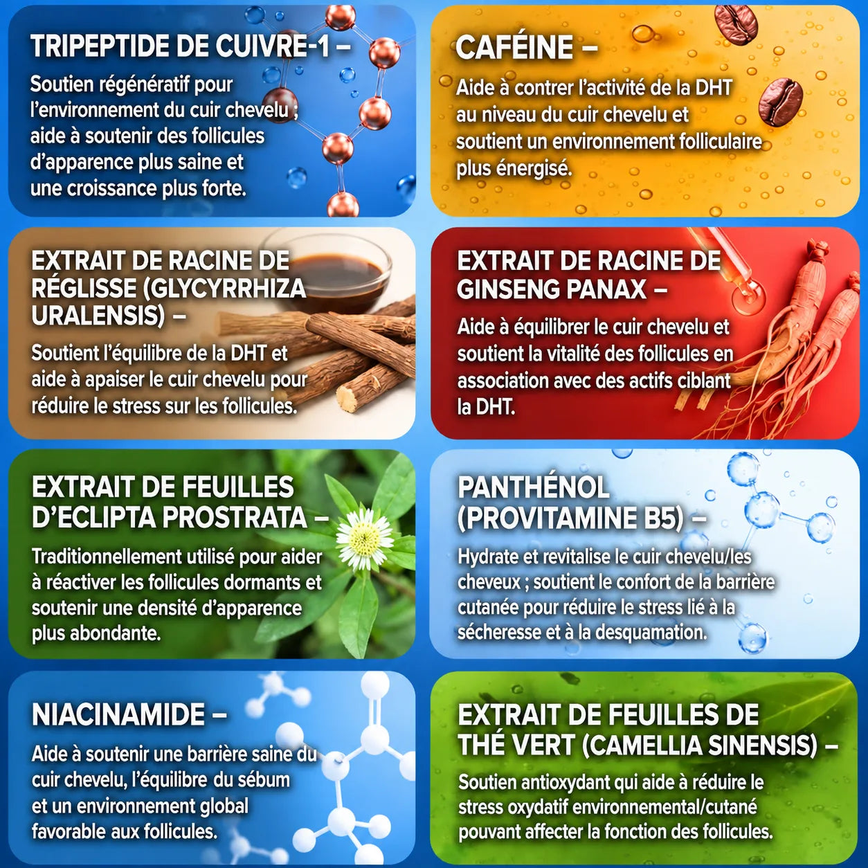 Le système de repousse capillaire par infusion de peptides le plus puissant
